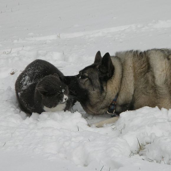 Meet your Posher, Dionne - Picture 1 of 1